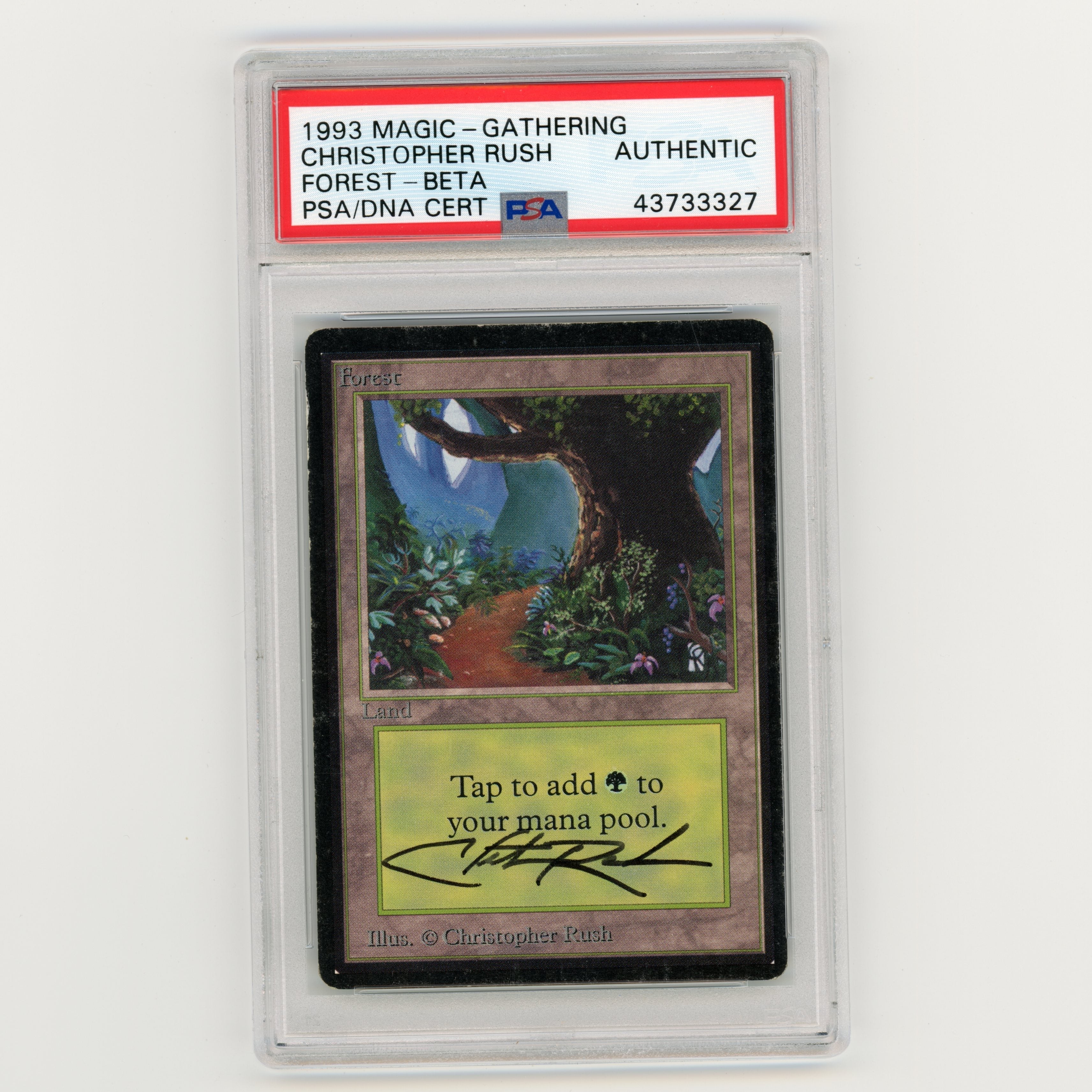 Magic The Gathering 1993 Beta Forest Christopher Rush Auto Authentic Trading Card